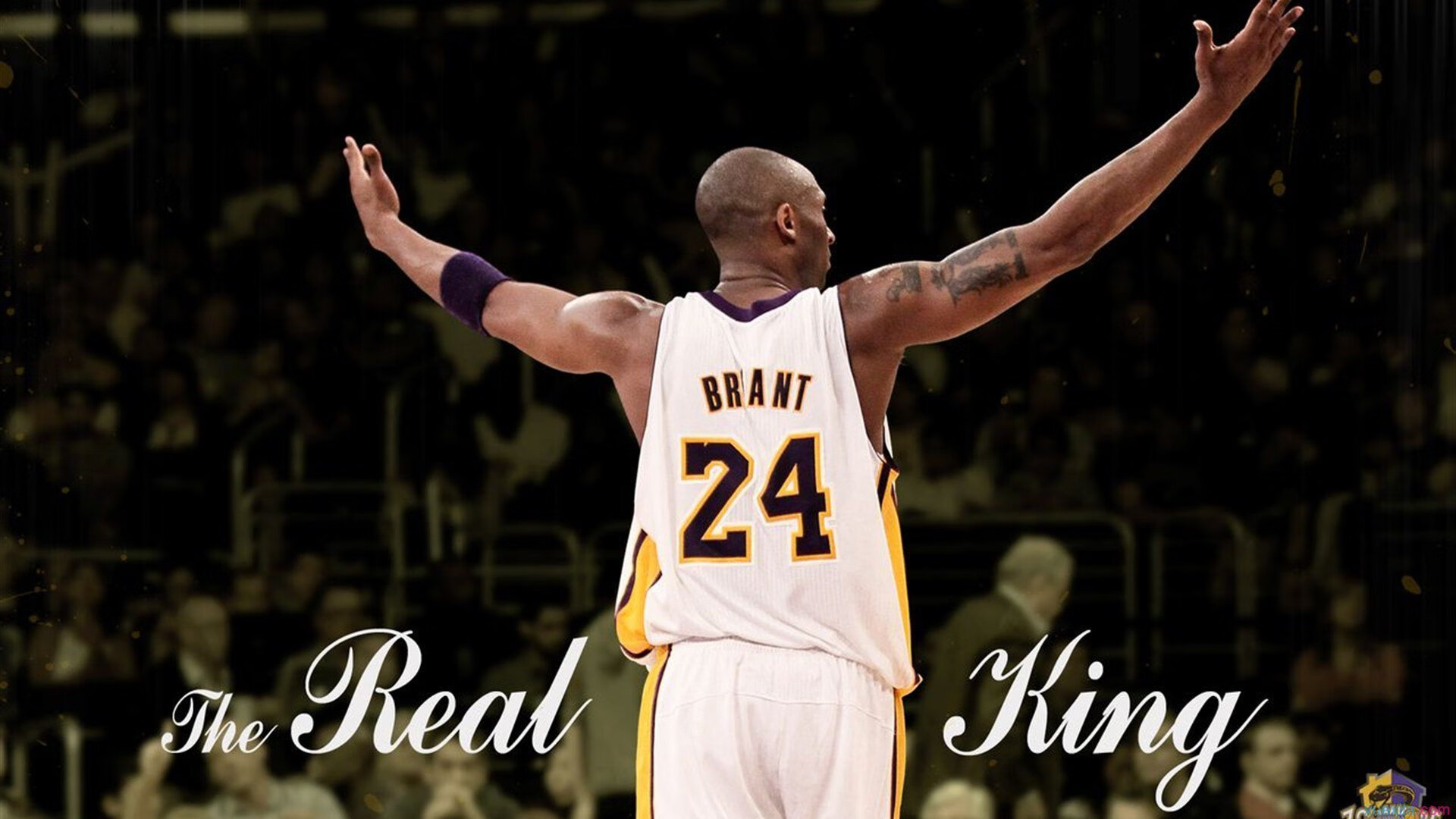 北欧新王加冕！哈兰德独造三球率冰岛斩落非洲雄狮，世界杯黑马再现？